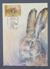 MayfairStamps Russia FDC 1989 Rabbit First Day Cover aax_85329