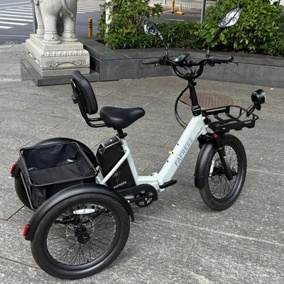 FAFREES E-Bike Dreirad Elektro 20 Zoll 3-Rad stabil mit Korb 48V 21Ah 25km/h