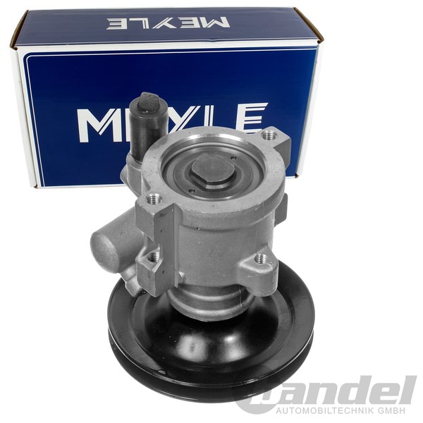 Meyle Servopumpe 100Bar Passend FüR Opel Astra Calibra Omega Senator Vectra |-image