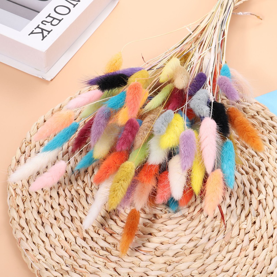 60pcs Natural Bunny Tails Dried Flowers 16" Mini Pampas Grass, Black eBay