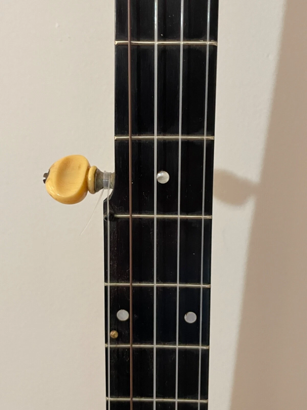 Picture 5 of 20