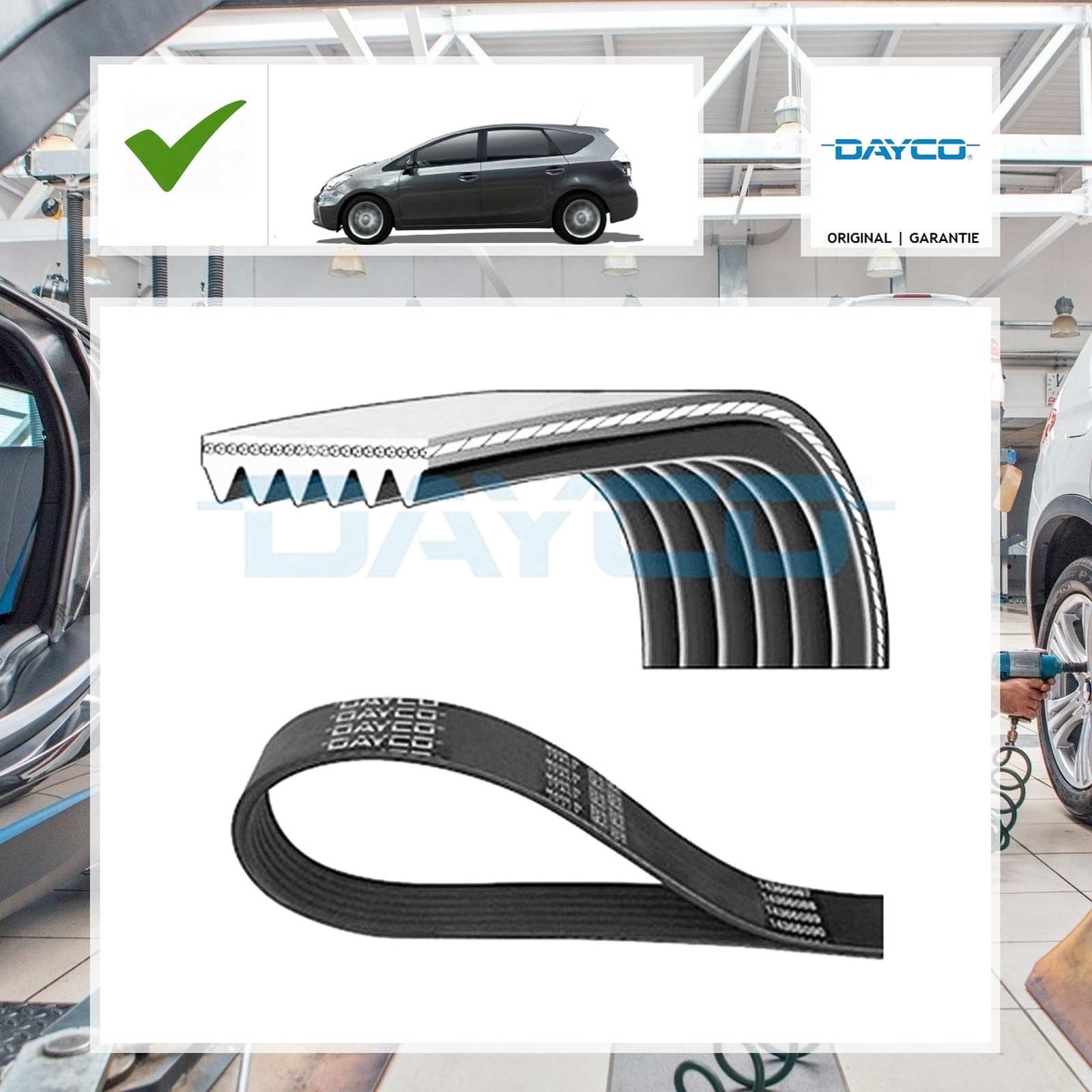 Dayco Keilrippenriemen FORD FOCUS (DAW, DBW) 1.6 16V