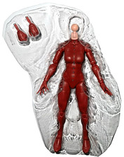 Marvel Legends PHOENIX Rachel Summers 6    Figure Body Only NO HEAD Excalibur