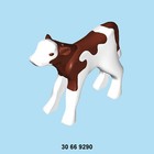 Bild 109 von 119