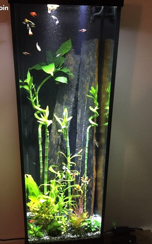 Aquarium Colonne Occasion