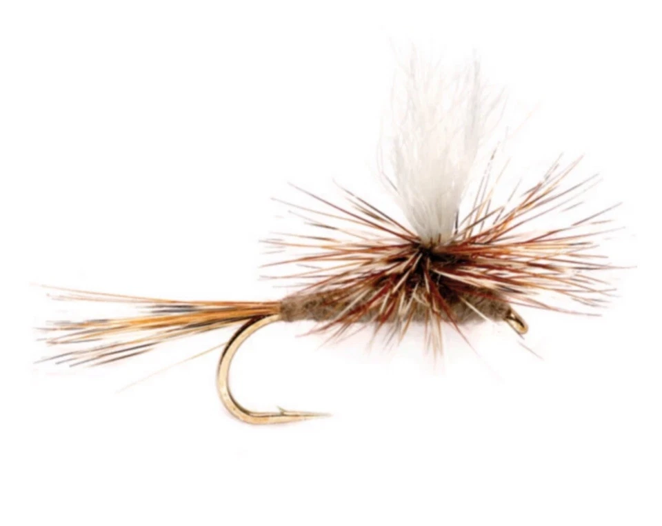 RIO Parachute Adams (Calf) Dry Fly 12 Count - Fly Fishing Size 20 - Image 2 of 4