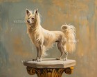 8x10 Matte Print Chinese Crested Dog Standing on Pedestal