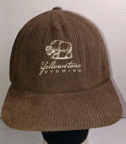 Gorra Abercrombie Fitch Yellowstone Wyoming Park marrón pana O/S USADA UNA VEZ - Imagen 1 de 8