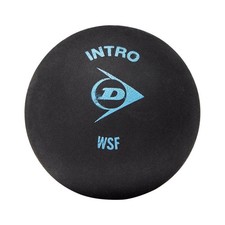 Dunlop Intro Squash Balls (Pack of 12)One Size Black  RD922
