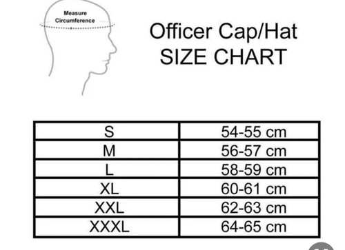 WW2 US Visor Hat Officer Cap With Eagle Badge WWII - Picture 7 of 7