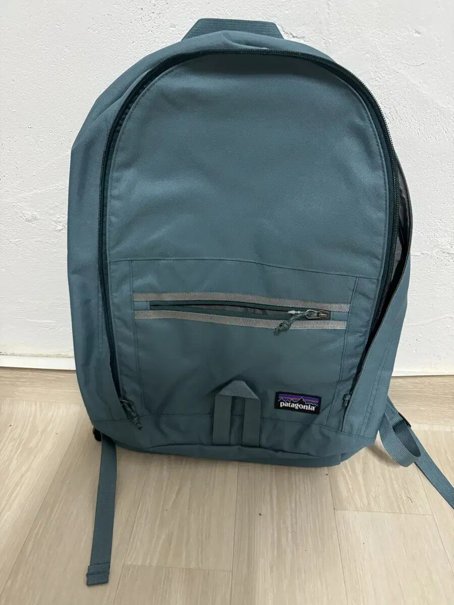 Patagonia Arbor Day Pack 20L