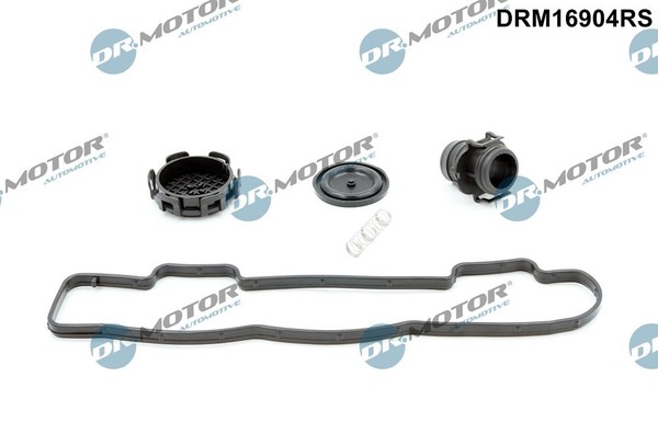 Dr.Motor Automotive Dichtungssatz, Zylinderkopfhaube U.A. FüR CitroËN, Ford-image
