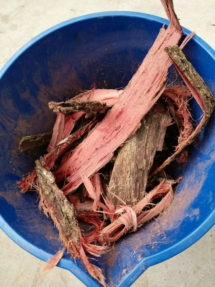 Polvo de corteza de raíz natural para tinte de cuero 1 kg ¡NUEVO LOTE!! Foto 4 de 4