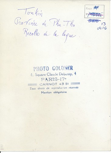 TONKIN c. 1940 - Phu-Tho Récolte de la Laque - Div 1718 - Picture 2 of 2