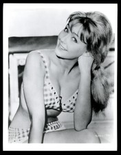 Vintage SEXY ACTRESS CHRISTINE KAUFMANN Studio Photo 1960s