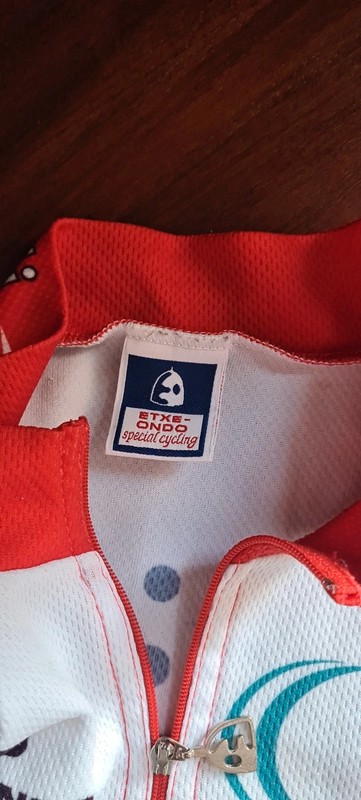 Vintage 1990s Euskaltel-Euskadi Pro Cycling Jersey image 6