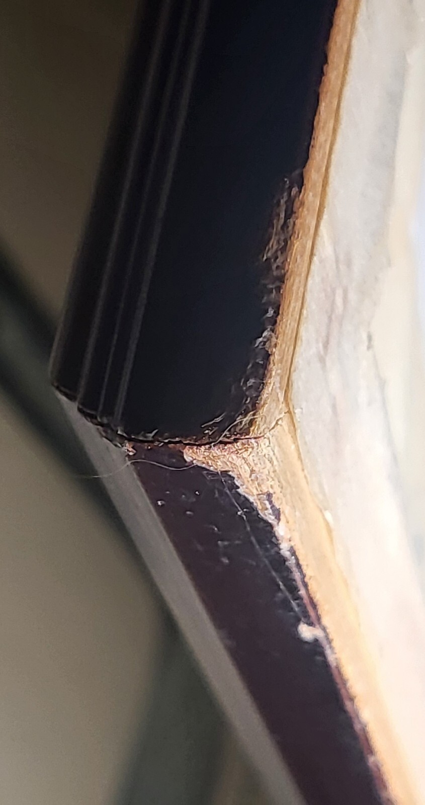 Picture 19 of 24