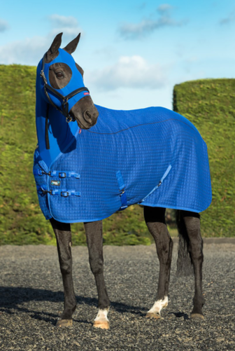 LeMieux Thermo-Cool Rug - Benetton Blau LeMieux Thermo-Cool Rug - Benetton Blau
