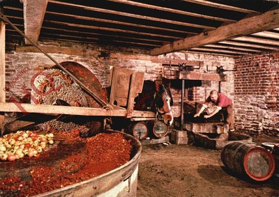 Ansichtskarte>>Hereford, Museum of Cider, moderne landwirtschaftliche Apfelweinherstellung