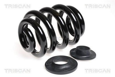 2x TRISCAN 8750 29137 Fahrwerksfedern Satz Hinten