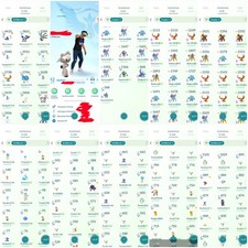 Pokemon Go Acc PERFECT  