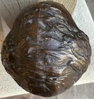 Bild 12 von 17