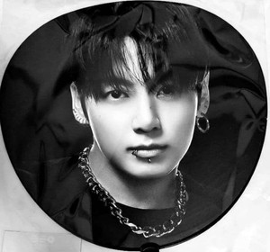 Jungkook Picket | eBay