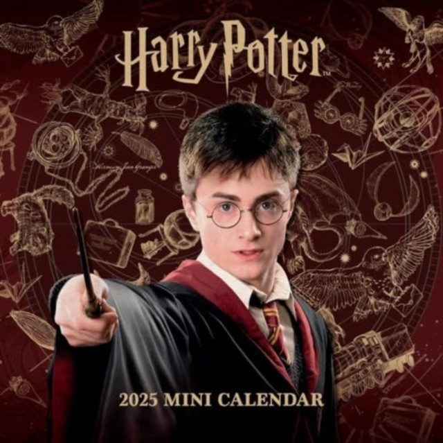 Harry Potter Mini Calendar 2025 (Calendar)