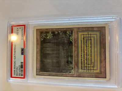 MtG: Bayou Revised Edition - PSA rated as Very Good/ Excellent condition