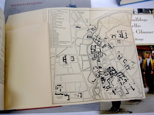 Cambridge University Geschichte 4 Bücher Bibliothek Einführung Glossar illustriert - Bild 5 von 12