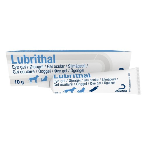 Lubrithal Eye Gel for Cats and Dogs Moisturising Lubricating Fluid 10g