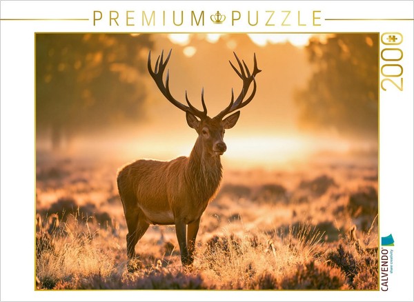 Calvendo Puzzle King Of The Golden Morning | 2000 Pieces, Finished Size 35.4 × 2-image