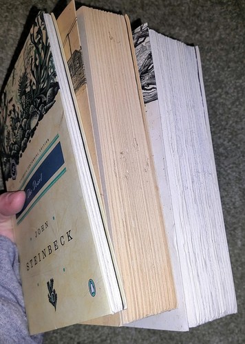 Classic Literature Book Lot - Steinbeck, Faulkner, Fitzgerald (12) - Picture 7 of 16