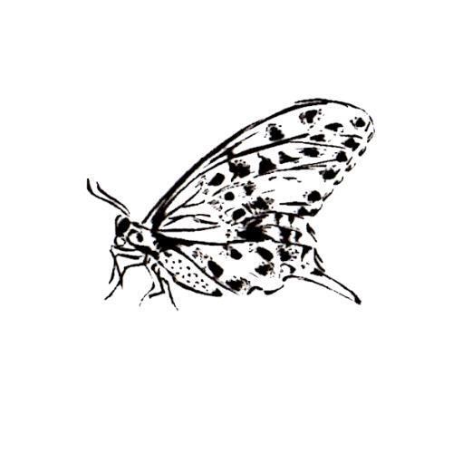 resting BUTTERFLY unmounted rubber stamp, summer, bug, insect, nature #9 - Afbeelding 1 van 2