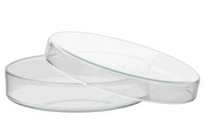 Petrischalen mit Deckel aus AR-Glas, 120 x 20 | 80 x 15| 60 x 15|40 x 12 mm