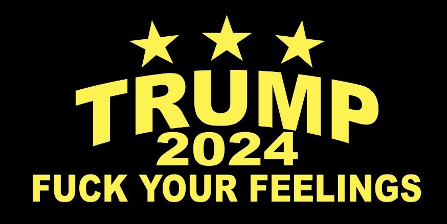 ふみ४४४ᵕ̈⑅⃝♡*｡ Trump 2024 Flag F**k Your Feelings Flag 3x5 ft with Two Brass