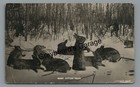 Rppc Giant Cottontails Rabbit Hunting Exaggeration Wd Olson Real Photo Postcard