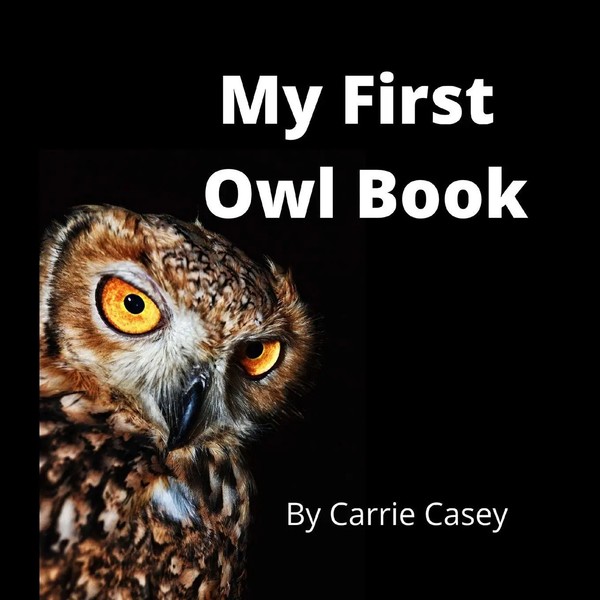 Carrie Casey | My First Owl Book | Taschenbuch | Englisch (2021) | CEY Press-image