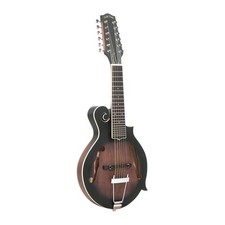 Gold Tone F-12: 12-string F-style Mando-Guitar with Pickup and Case