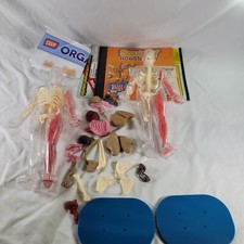 For Parts Or Pieces - Smart Lab Squishy Human Body - Incomplete