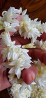 Bild 3 von 5