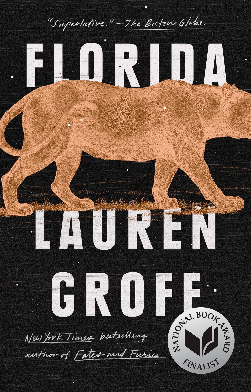 Thumbnail - Florida - Lauren Groff - 9781594634529