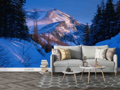 3D Bäume Der Berg Schnee Der Himmel Tapete Wandgemälde Fototapete Wandaufkleber - Bild 1 von 9