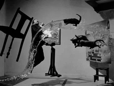 Dalí Dali Atomicus Surrealist Easels Cats Water Jumping Photo Poster Art Print