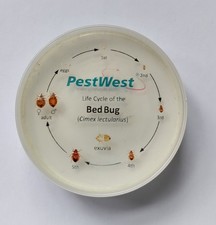 10 bed bug life cycle resins (by Cimex Store) varying logo and quality