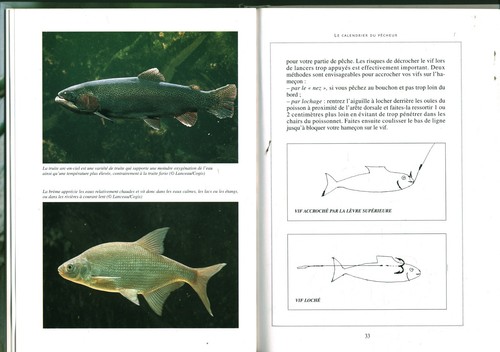 Livre le calendrier du pêcheur F. Laforge et P Petit éditions De Vecchi 2001 - Picture 3 of 5