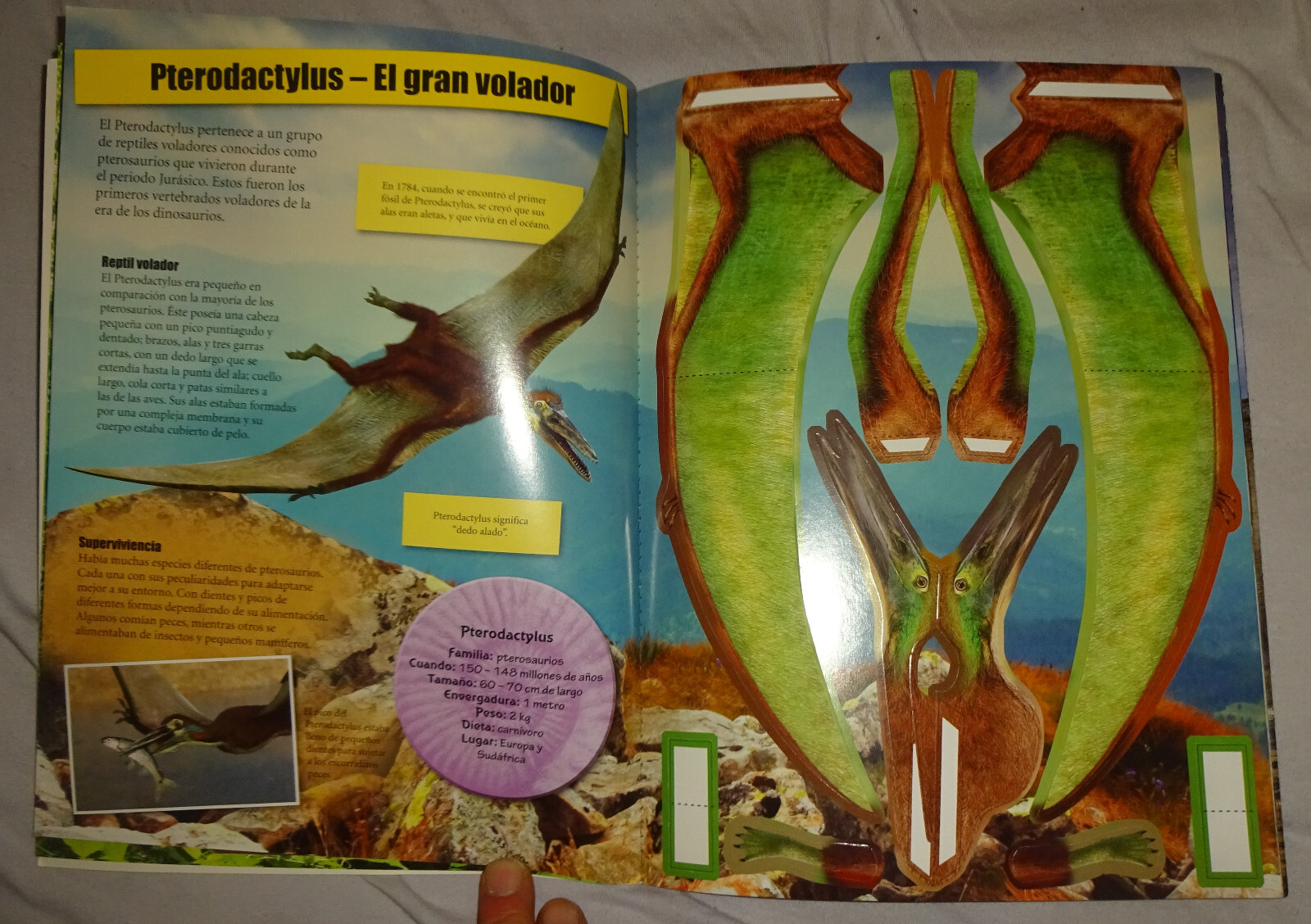 Bild 4 von 4