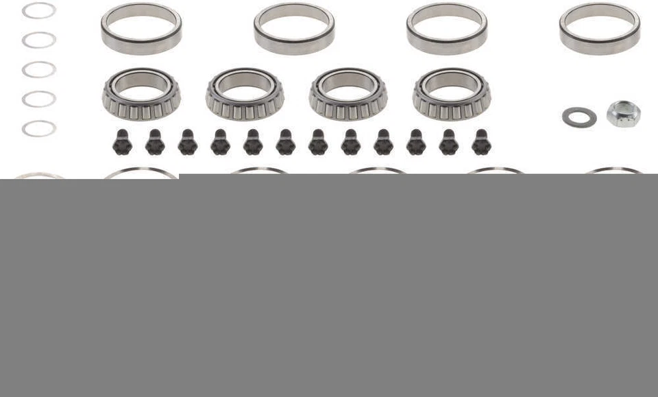 Kit de reconstrucción diferencial-FSGR DANA Spicer 10043634 Foto 2 de 2