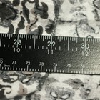 Picture 13 of 13