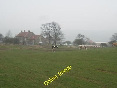 Foto 12x8 Milchkühe und Haus Bauernhof Roxby Roxby \/NZ7616 vom Fußweg c2013